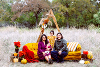 MAYRA ALVAREZ FALL FINAL 2020