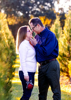 TAMMIE HOLT TREE FARM FINAL 2021