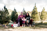 ELENA IGLEHART TREE FARM FINAL 2021