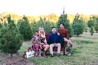 TRAN TRO CHRISTMAS 2021
